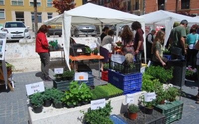 392 personas visitaron el Minado durante el Mercado de las Flores