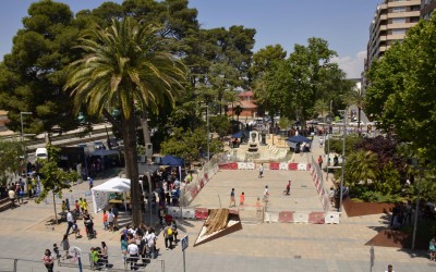 Podas de seguridad de urgencia en distintas zonas arboladas de Villena