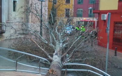 Día frenético para Policía Local y Medio Ambiente por el temporal