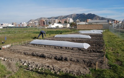 Huertos urbanos vacantes en el paraje de San Juan