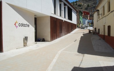 Curso gratuito de Olivicultura ecológica