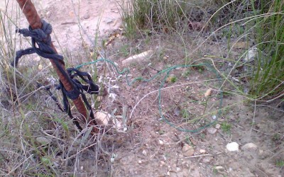 COMUNICADO DE LA CONCEJALÍA DE POLÍTICAS ANIMALISTAS SOBRE EL USO DE LAZOS ILEGALES EN EL TÉRMINO DE VILLENA