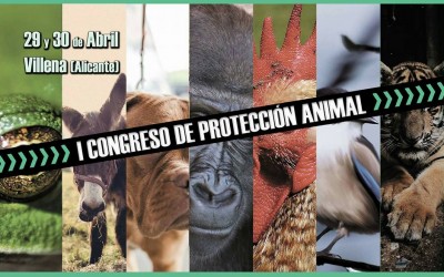 Villena será sede del I Congreso de Protección Animal