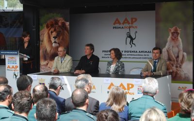 La Reina Sofía visita Villena para inaugurar el nuevo módulo de grandes felinos de AAP Primadomus