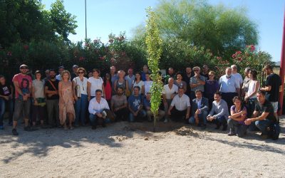 Plantación conjunta para defender la huerta