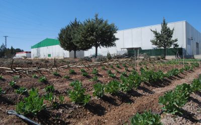 Fin de semana para la protección de los cultivos valencianos en Villena