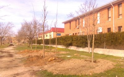 Nuevas zonas verdes en Villena