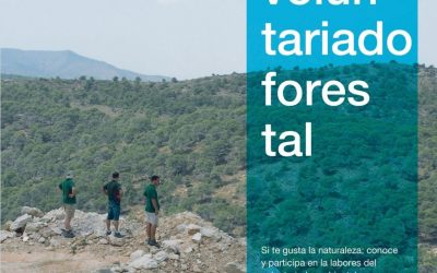 Curso de voluntariado forestal en el Espacio Joven