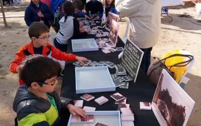 Notable participación en el taller de puzles del Museo en la colonia Santa Eulalia