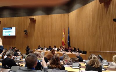 La infancia toma la palabra en el Congreso de los Diputados