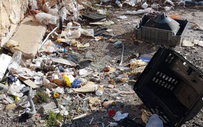 Limpieza camino en Prados de la Villa