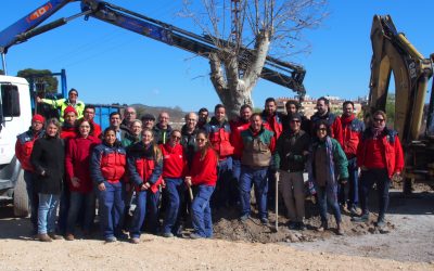 Plantación de árbol monumental en el futuro parque canino