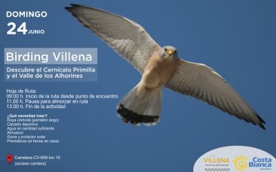 Jornada de turismo ornitológico en Villena