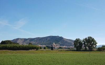 Villena reivindica el Día Mundial del Medio Ambiente