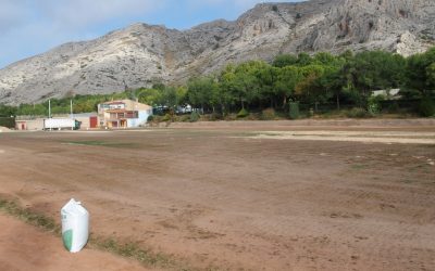 Iniciada la resiembra del campo de césped del polideportivo tras los festivales