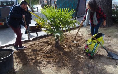 Plantación en el Paseo por el Día del Árbol
