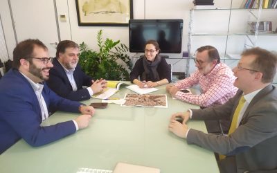 Consellería solicitará una reunión a Fomento para la construcción de los accesos a la estación AVE de Villena