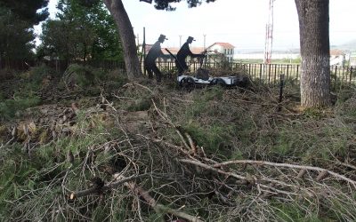 Trabajo intensivo de poda de seguridad en La Encina