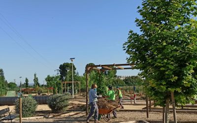 El parque canino vuelve a abrir sus puertas en Villena