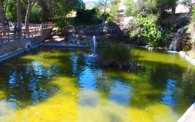 La concejalía de Medio Ambiente denuncia al SEPRONA la aparición de vertidos tóxicos en el Hoyo de Las Virtudes