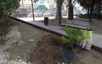 El Ayuntamiento de Villena repoblará las zonas verdes de la ciudad con 820 nuevas plantas