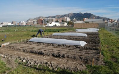 La Comisión de Medio Ambiente aprobará la nueva ordenanza de Huertos Urbanos