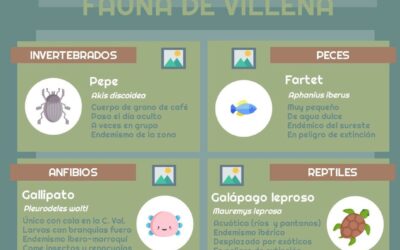 El programa ‘Villena Viva’ lanza nueva edición sobre la fauna local en los ecosistemas del término municipal