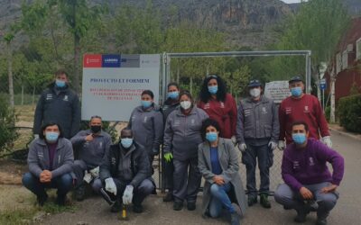 Villena logra 241.000 euros para ampliar por un año más el programa de empleo de jardinería