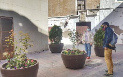 Parques y Jardines instala maceteros en las calles San Antón y Mayor para controlar aparcamientos no autorizados
