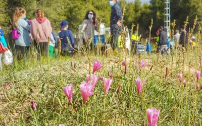 Más de 200 estudiantes del Joaquín María López replantan especies autóctonas en la Rambla del Conejo