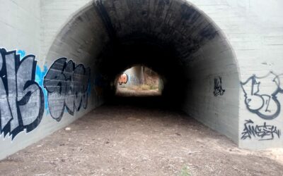 Medio Ambiente limpia la Rambla del Conejo de basura y plásticos