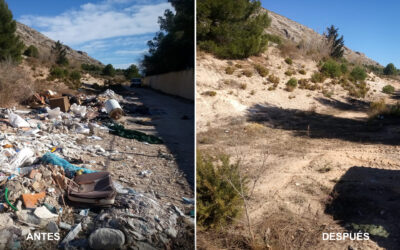 La Concejalía de Limpieza Viaria retira 40 toneladas de escombros de los aledaños de la zona deportiva