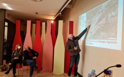 Villena participa en la reunión con Conselleria para definir el Catálogo de Protección de Paisajes Culturales del Vino de la Comunidad