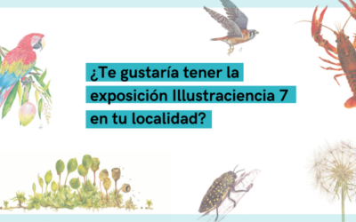 Educación anima a participar en el concurso Ciudad Ciencia para que Villena aloje la exposición permanente del 10 aniversario