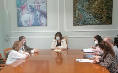 El alcalde de Villena busca la alianza con  Diputación para el desarrollo de un  proyecto global de salud mental infanto-juvenil de la Red Sanamente en el Vinalopó
