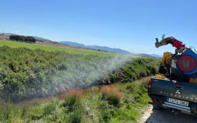 Medio Ambiente inicia la campaña contra la plaga de mosquitos en 20 posibles focos