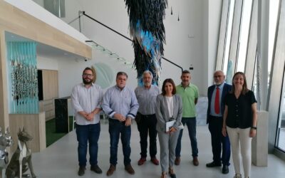 La directora General de Industria dispuesta a colaborar en la diversificación industrial de Villena   