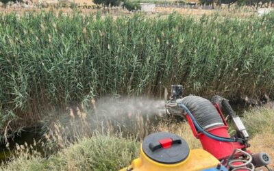 Medio Ambiente intensifica la campaña contra el mosquito