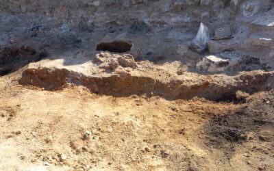 La campaña de excavación del Cabezo Redondo halla una vivienda incendiada con elementos estructurales de hace más de 3.500 años