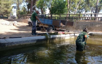 Actuaciones de mejora en el entorno de Las Virtudes