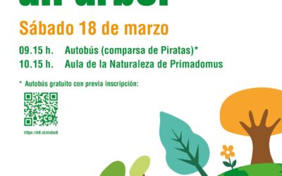 Villena se suma a la iniciativa europea #unarbolporeuropa con la jornada de reforestación en el Aula de la Naturaleza