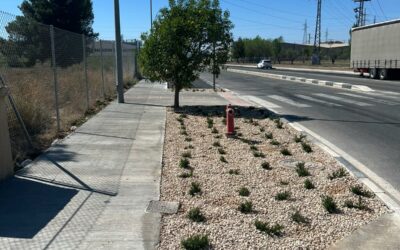 El Ayuntamiento termina las obras de mejora de los viales del Polígono El Rubial