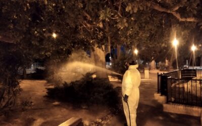 El Ayuntamiento intensifica las medidas de control de mosquitos en zonas verdes y acequias