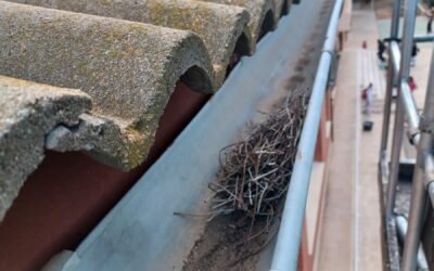 La Concejalía de Mantenimiento avanza en el Plan Puesta a Punto de mejora y reparación de los centros escolares de la ciudad