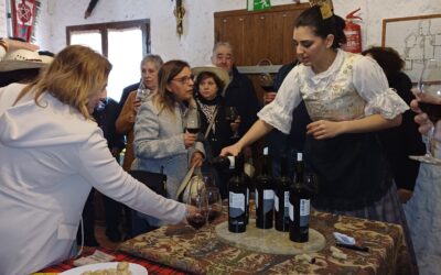 Enotur 2024 se consagra y reúne a más de 1.000 personas en las actividades vinculadas al vino y la gastronomía en Villena