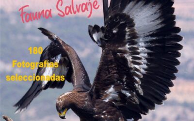 180 fotografías mostrarán la fauna de las montañas del interior de la provincia