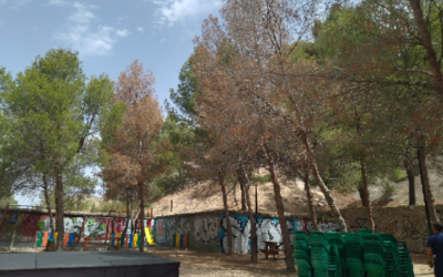 El Ayuntamiento detecta la presencia del hongo del ‘soflamado’ del Pino Carrasco y activa el tratamiento para su control en áreas naturales