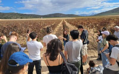 Estudiantes de la Universidad Autónoma de Barcelona visitan Villena para analizar su propuesta turística