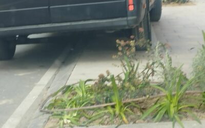 La Policía Local intensificará los controles de estacionamiento para evitar daños en la Avenida de la Constitución