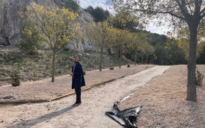 Medio Ambiente mejora el espacio del merendero de Las Cruces